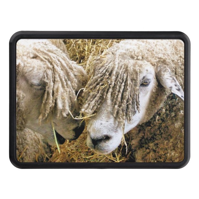 SHEEP    HITCH COVER (Front)