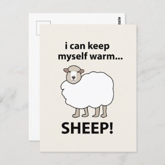 Sheep I Can Keep Myself Warm Sheep
