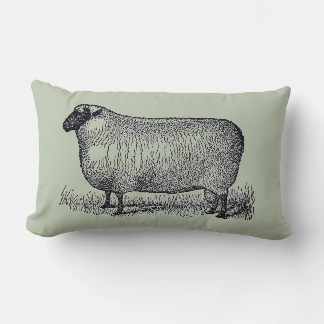 Sheep Illustration Farmhouse Style Home Decor Lumbar Pillow (Front)