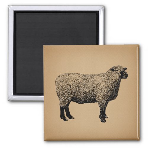 Sheep Illustration Vintage Art Magnet