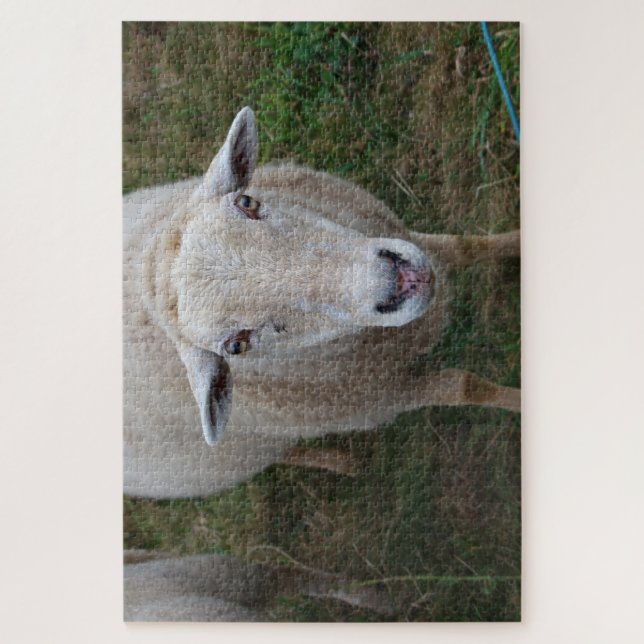 Sheep in a field jigsaw puzzle (Vertical)