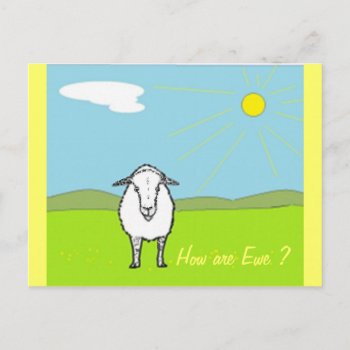 Sheep In A Field Postcard by artistjandavies at Zazzle
