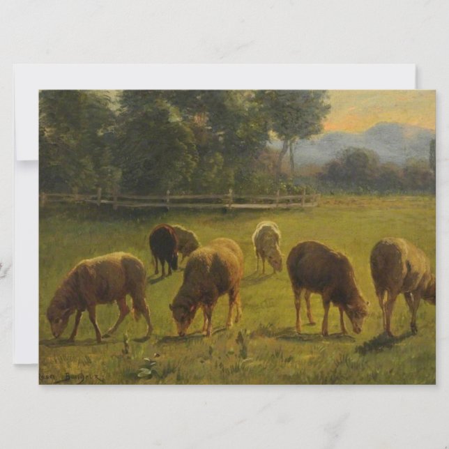 Sheep in a Rural Landscape (by Rosa Bonheur) Card (Front)