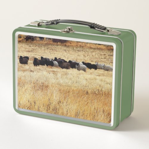 Sheep in Autum Grass Metal Lunch Box