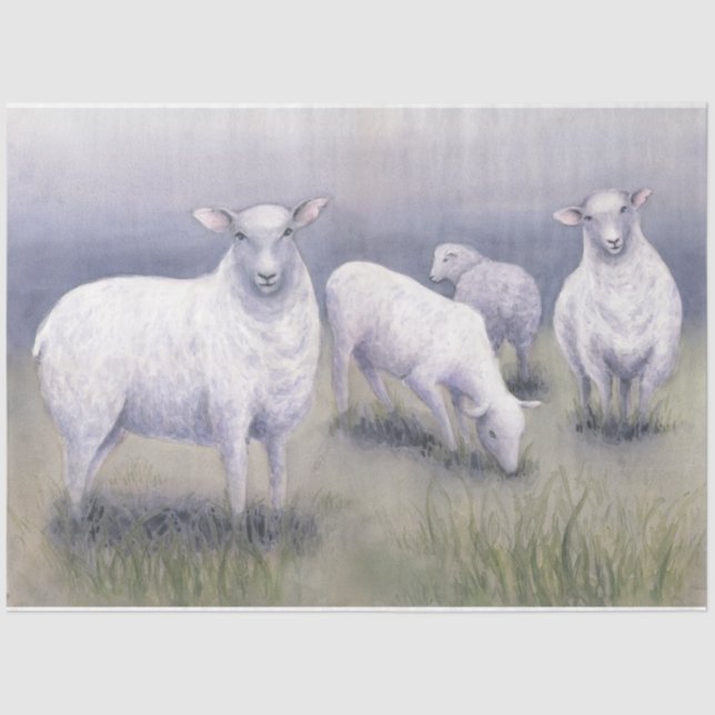 Sheep in Field Tissue Paper (Front)
