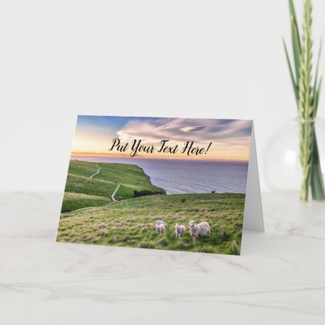 Sheep in New Zealand | Christchurch Landscape | NZ Thank You Card (Front)