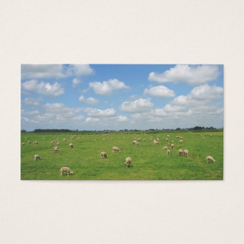 Sheep in Pasture Small Photo Card Business Card