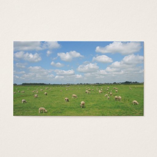 Customizable Sheep in Pasture Small Photo Card Business Card