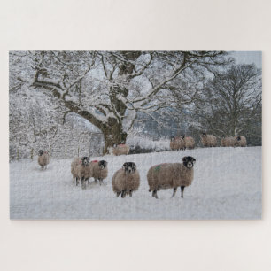 Sheep in Snow Jigsaw Puzzle