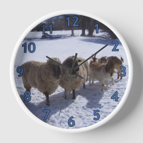 Sheep in Spring Snow Clock