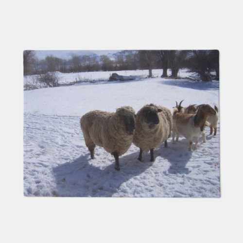 Sheep in Spring Snow Doormat