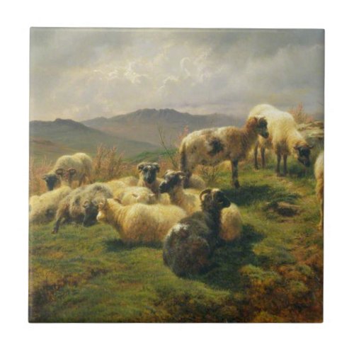 Sheep in the Highlands by Rosa Bonheur Tile