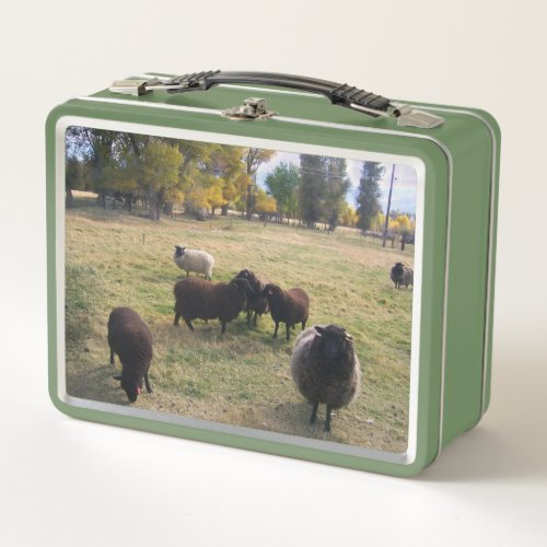 Sheep in the Pasture Metal Lunch Box