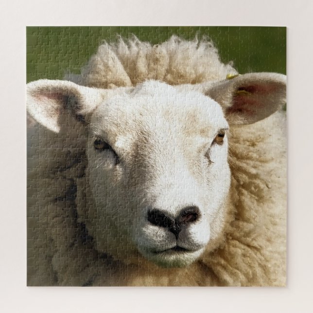 SHEEP JIGSAW PUZZLE (Vertical)