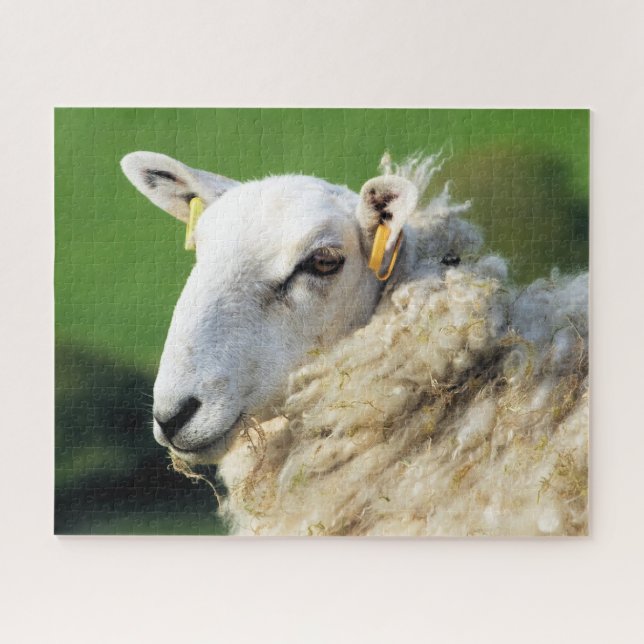 SHEEP JIGSAW PUZZLE (Horizontal)