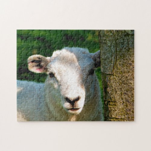 SHEEP JIGSAW PUZZLE