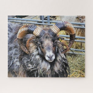 SHEEP JIGSAW PUZZLE