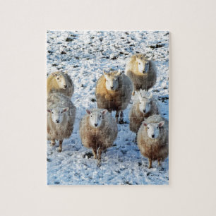 Sheep Jigsaw Puzzle