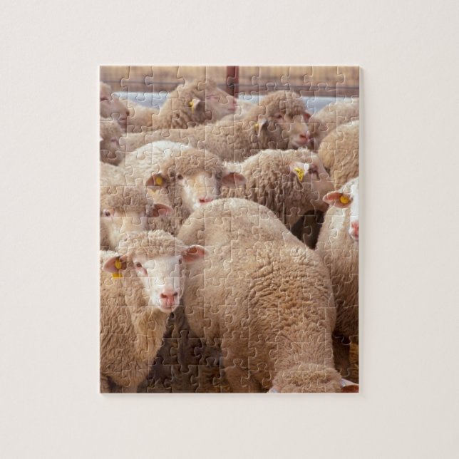 Sheep Jigsaw Puzzle (Vertical)
