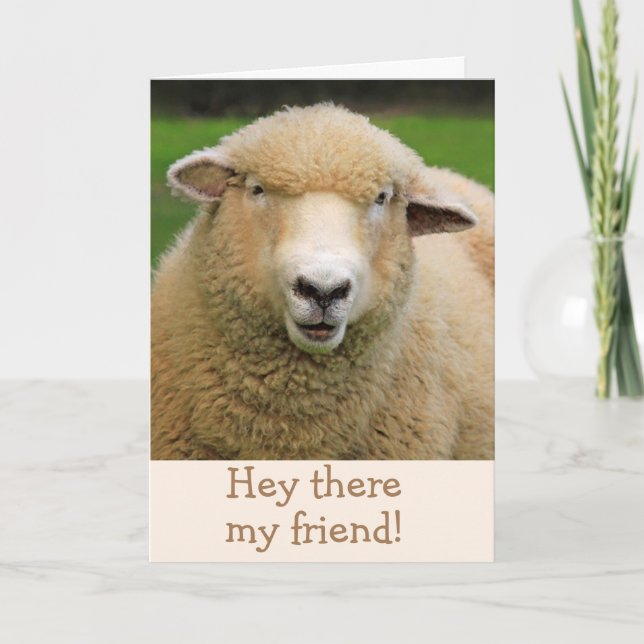 Sheep Joke Classic Humor Get Well Card (Front)
