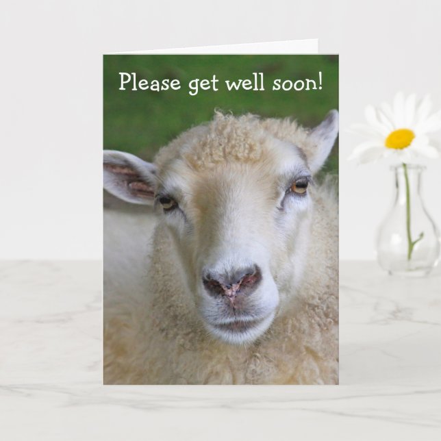 Sheep Joke Pun Get Well Card (Small Plant)