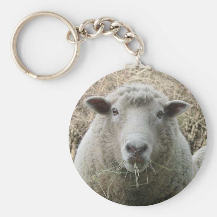 sheep keychain