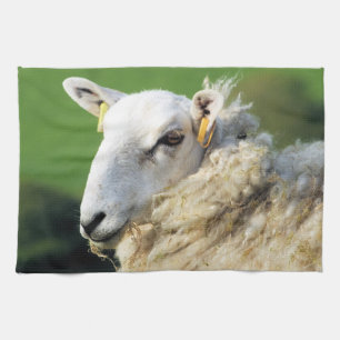 SHEEP KITCHEN TOWEL