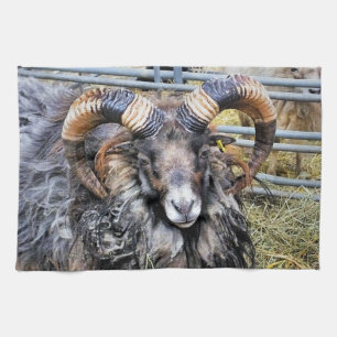 SHEEP KITCHEN TOWEL