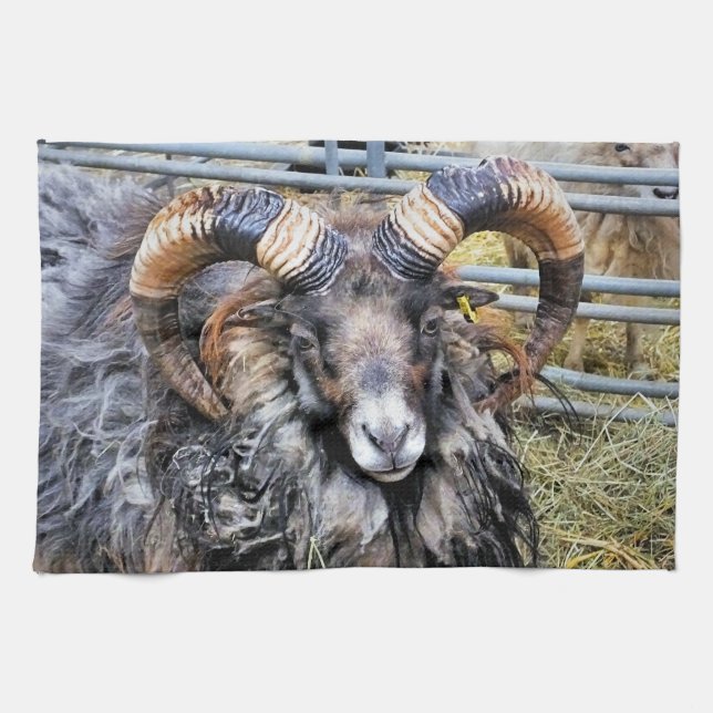 SHEEP KITCHEN TOWEL (Horizontal)