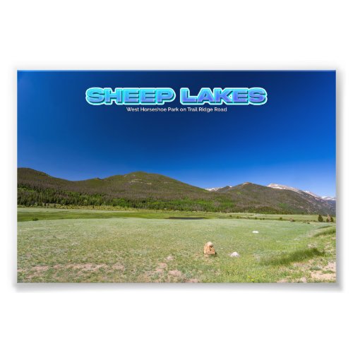 Sheep Lakes at Rocky Mountain National Park Photo Print