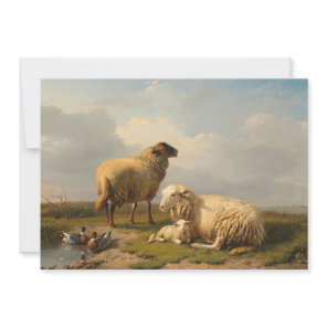 Sheep Lamb and Ducks | Eugène Joseph Verboeckhoven
