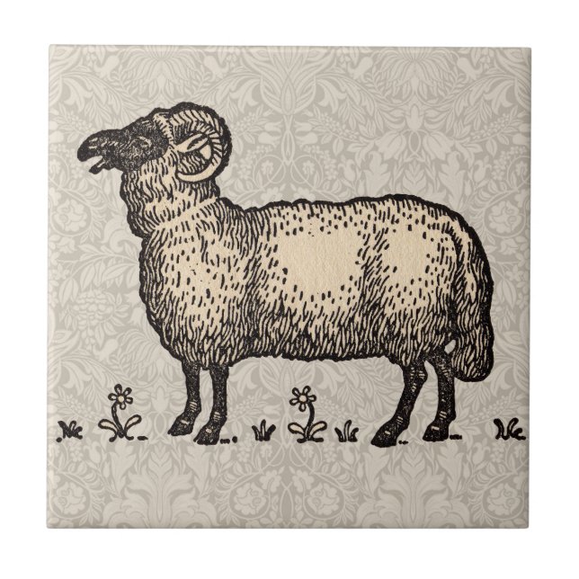 Sheep Lamb Farm Animal Vintage Ceramic Tile (Front)