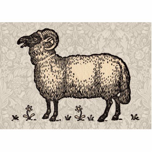 Sheep Lamb Farm Animal Vintage Cutout