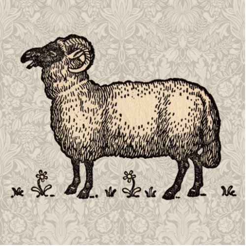 Sheep Lamb Farm Animal Vintage Cutout