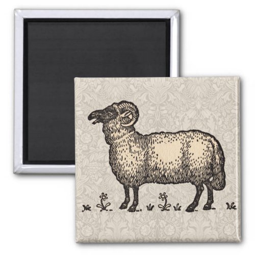 Sheep Lamb Farm Animal Vintage Magnet