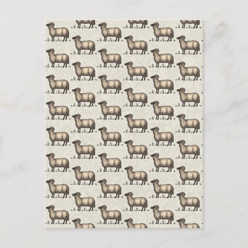 Sheep Lamb Farm Animal Vintage Postcard