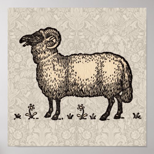 Sheep Lamb Farm Animal Vintage Poster