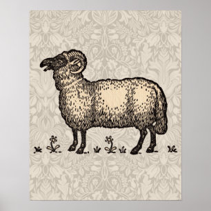 Sheep Lamb Farm Animal Vintage Poster