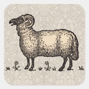 Sheep Lamb Farm Animal Vintage Square Sticker