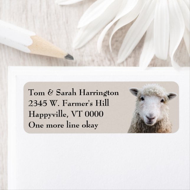 Sheep Lamb Farm Animals Label (Insitu)