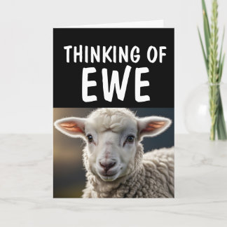 SHEEP LAMB FUNNY PUN HELLO Greeting Cards