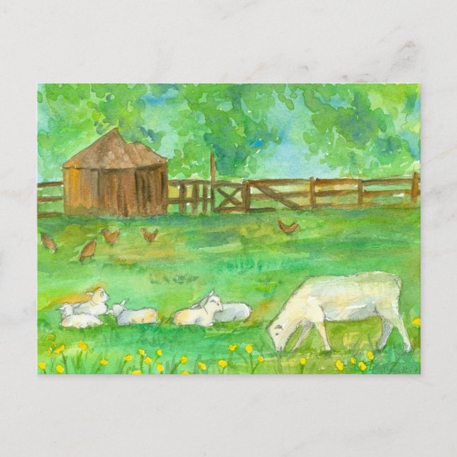 Sheep Lambs Chickens Farm Animals Painting Postcard (Front)
