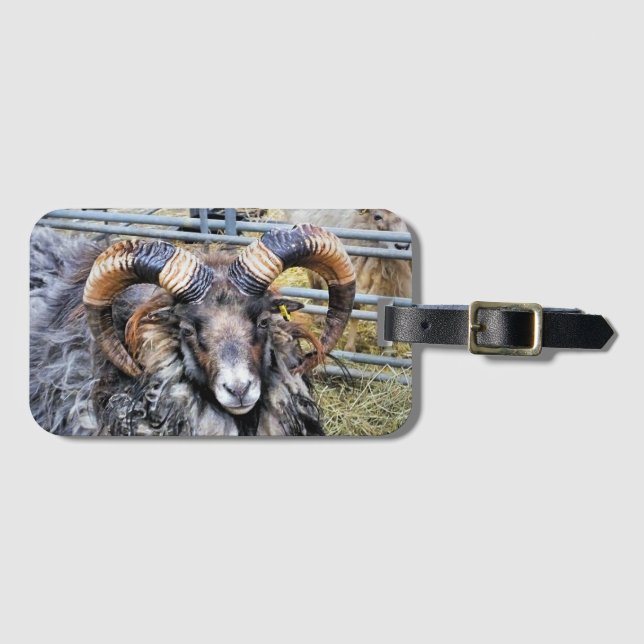 SHEEP LUGGAGE TAG (Front Horizontal)