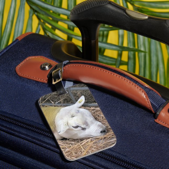 SHEEP LUGGAGE TAG (Front Insitu 1)