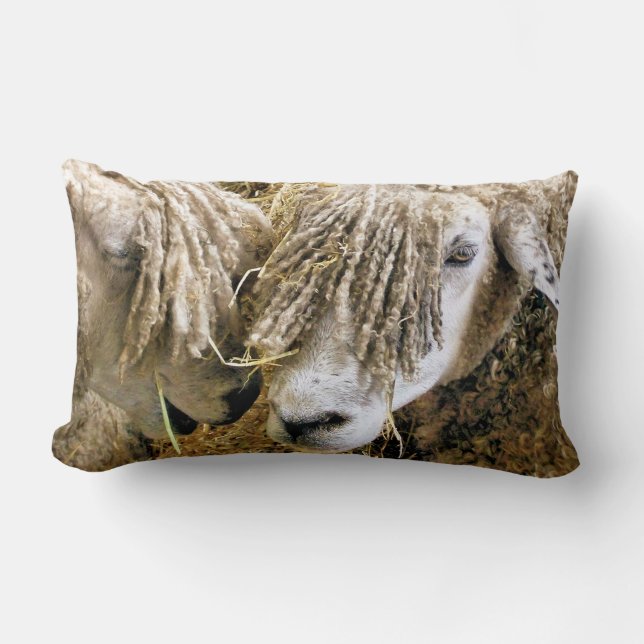 SHEEP  LUMBAR PILLOW (Front)