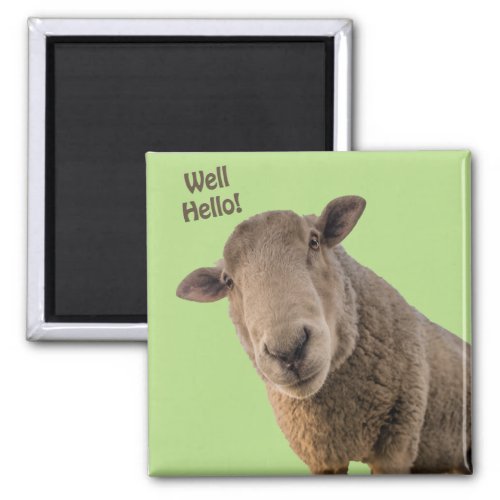 Sheep Magnet