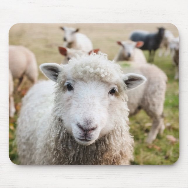 Sheep Mouse Pad (Front)