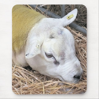 SHEEP MOUSE PAD