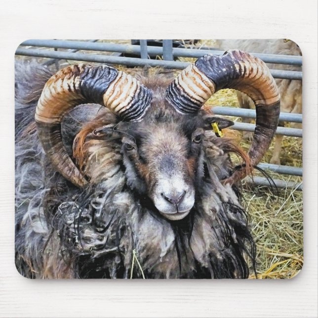 SHEEP MOUSE PAD (Front)