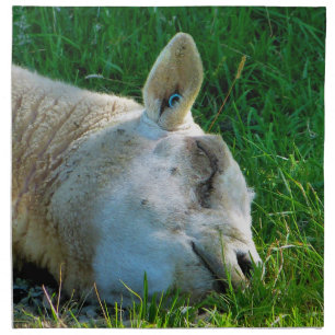 SHEEP NAPKIN